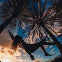 Отзыв от Алла - DTV виза